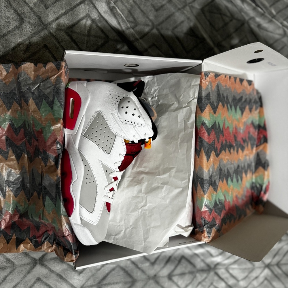 Air Jordan 6 Retro
